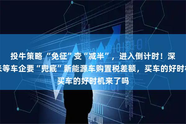 投牛策略 “免征”变“减半”，进入倒计时！深蓝、小米等车企要“兜底”新能源车购置税差额，买车的好时机来了吗