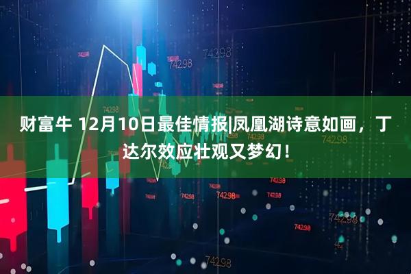 财富牛 12月10日最佳情报|凤凰湖诗意如画，丁达尔效应壮观又梦幻！
